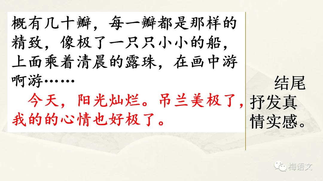 篮球训练个人训练计划一周_2
